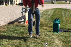 Trail of Scarecrows